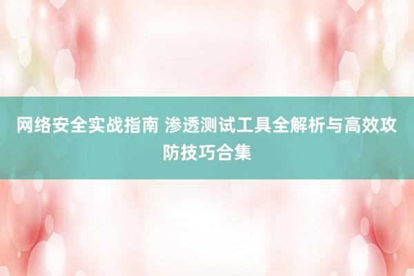 网络安全实战指南 渗透测试工具全解析与高效攻防技巧合集